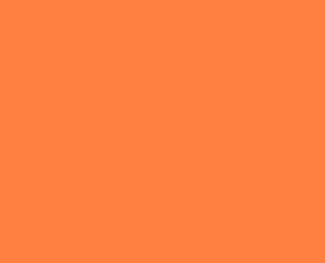 Light orange.JPG