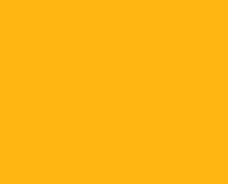 Golden yellow.JPG