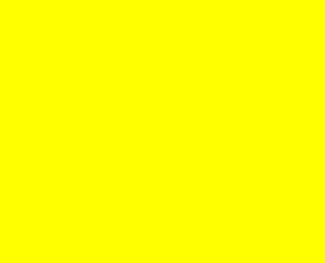 Yellow 1.JPG